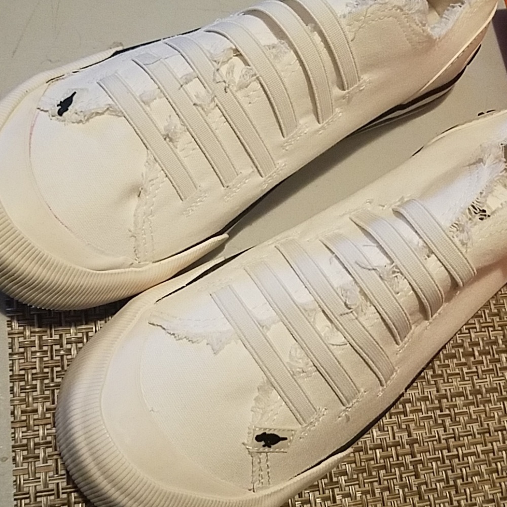 Brand new rocket dogs